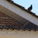 redes de proteção contra pombos