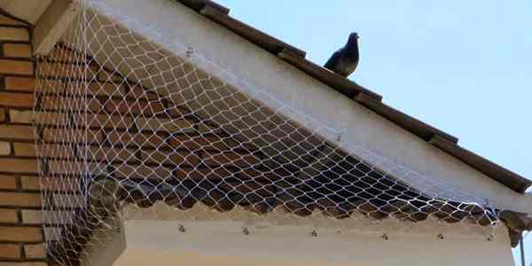 redes de proteção contra pombos